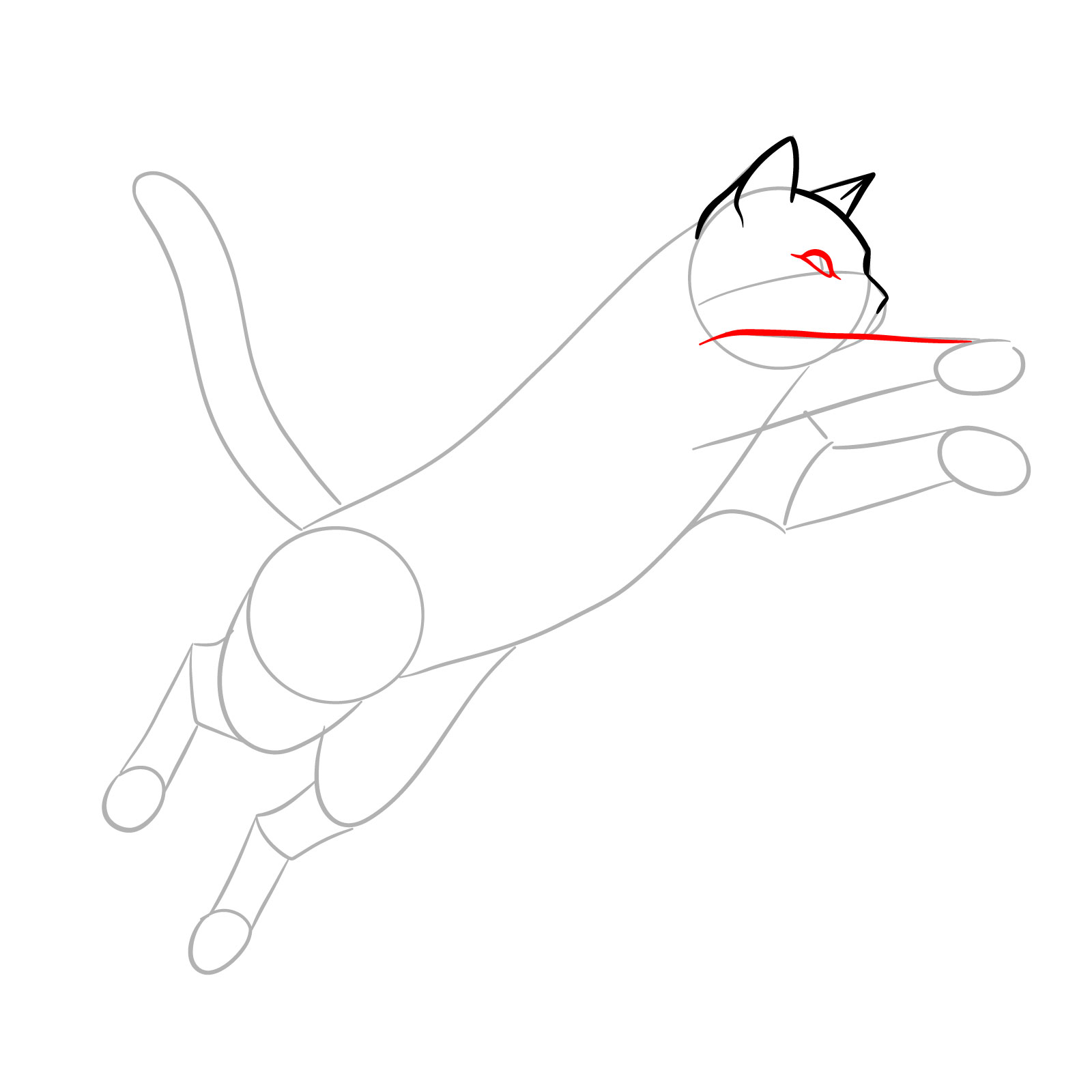 Illustration of a cat in mid-jump with the eye outline and the upper leg line sketched in - step 05
