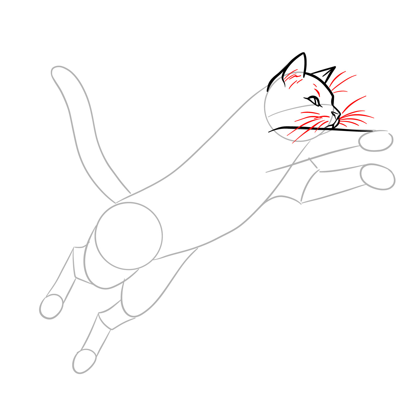 Sketch adding whiskers and fur details to the head of a cat capturing the dynamic of a jump - step 07