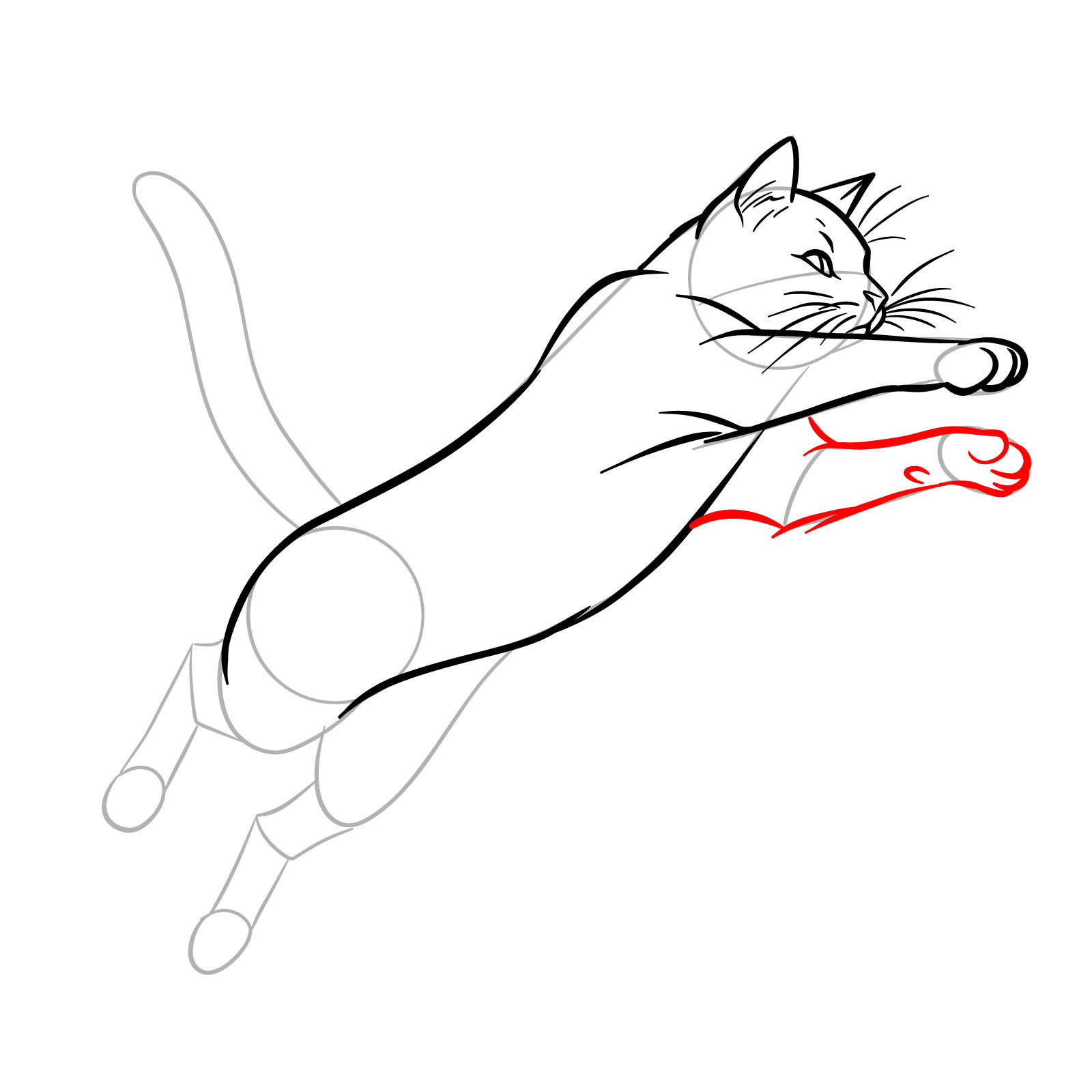 Sketch showing the addition of the second front leg and its paw in a dynamic jumping cat illustration - step 10