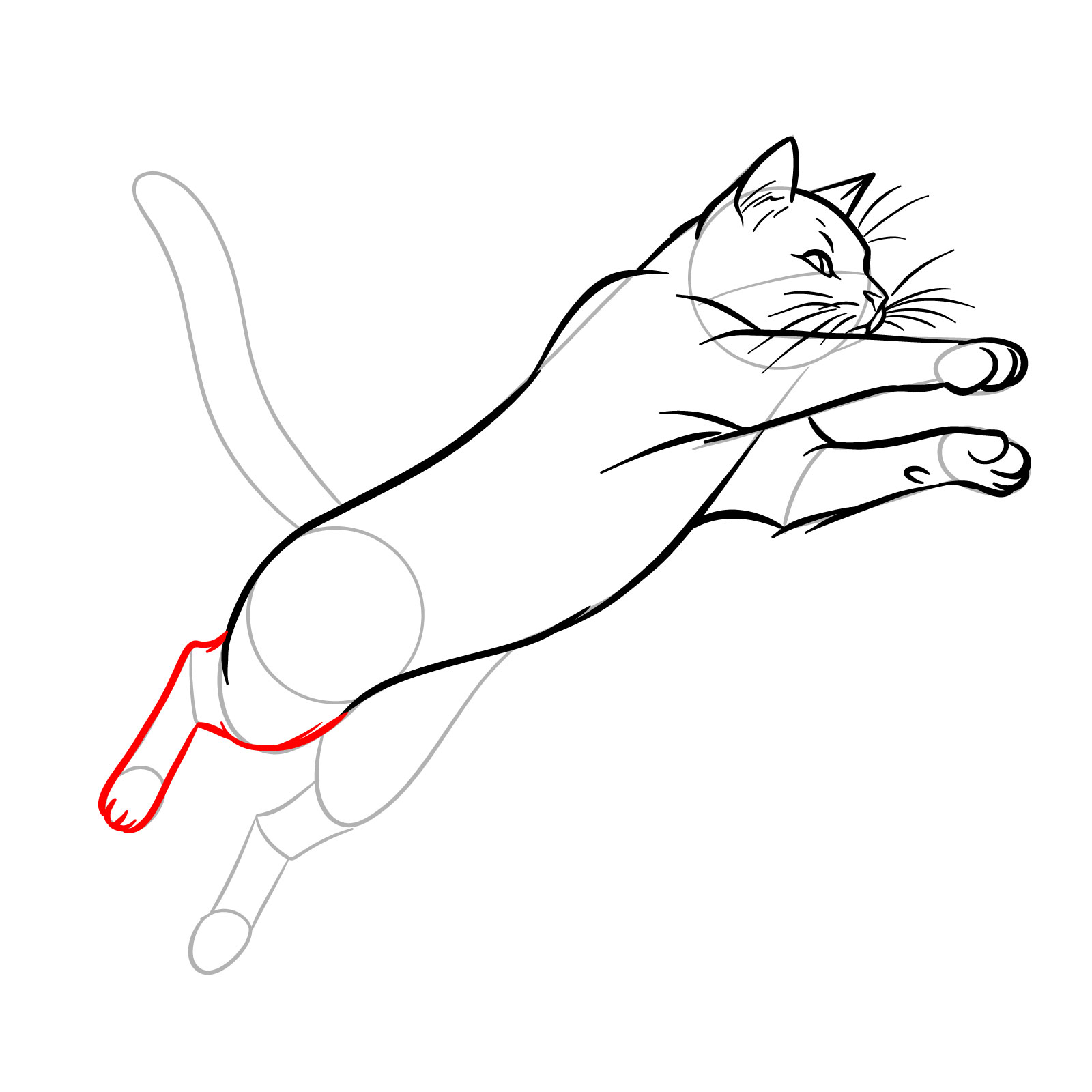 Detailed drawing of the first rear leg completed in a cat's jumping pose - step 11