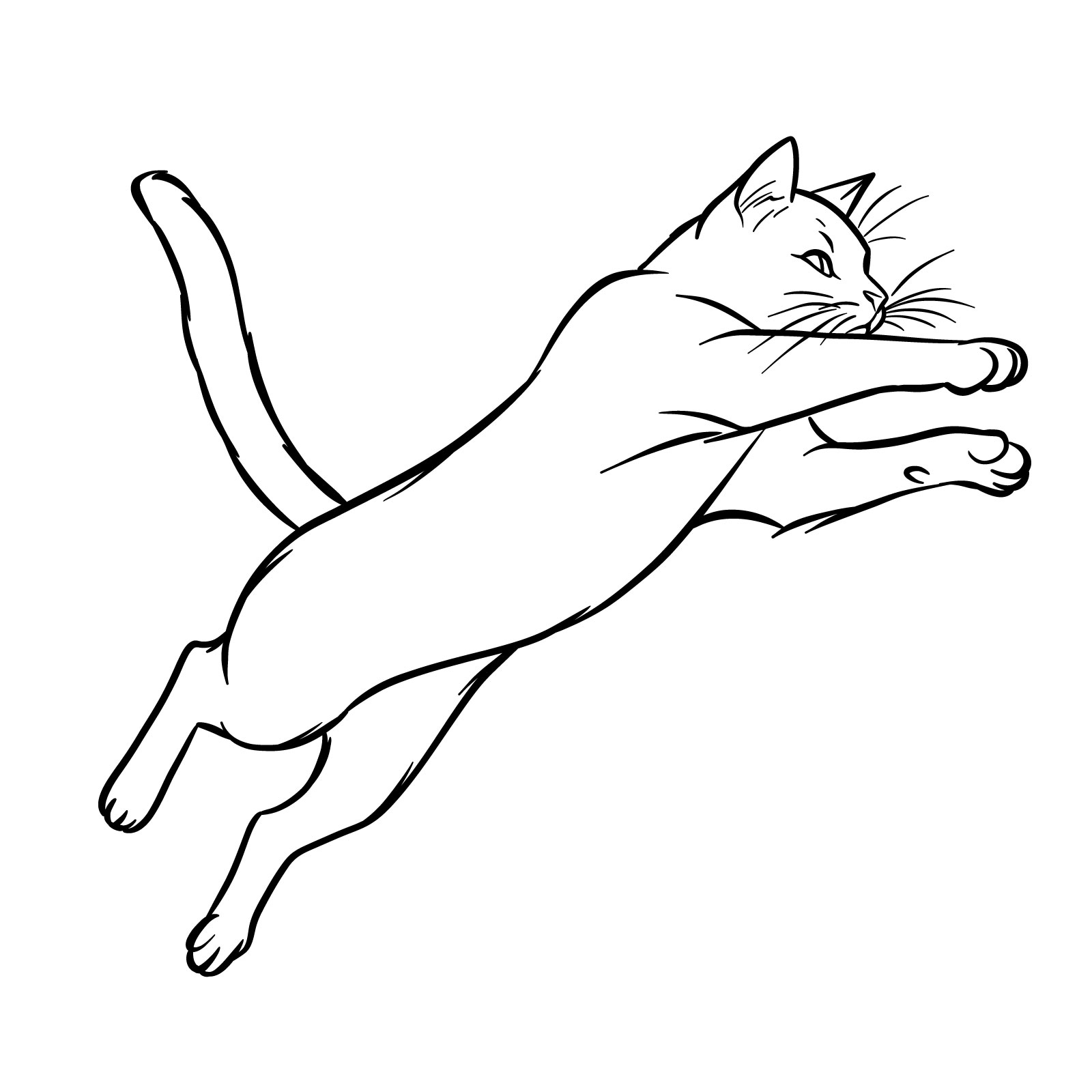 How to Draw a Cat in a Jump - Easy Step-by-Step Guide