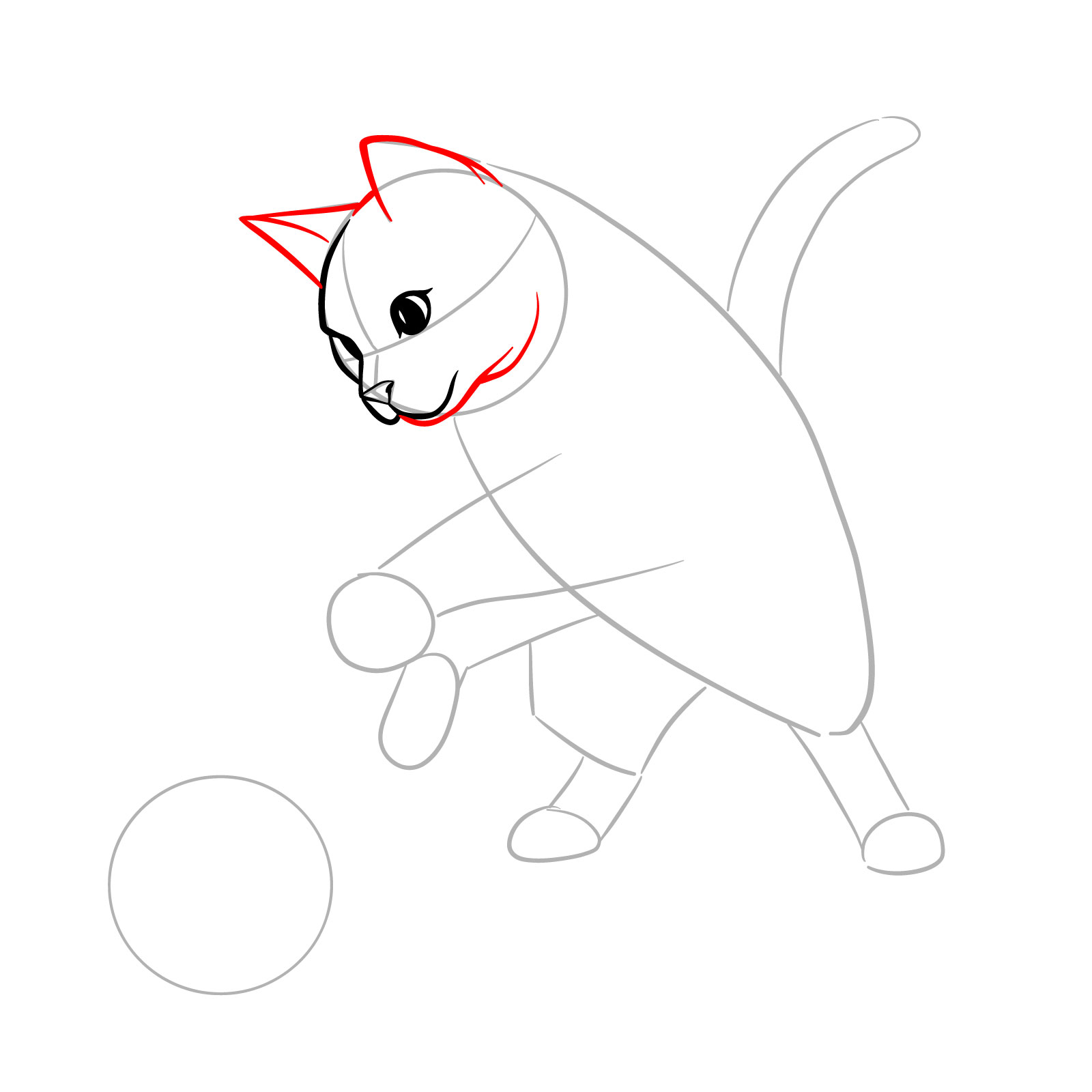 Illustration of a playful cat with added chin, bottom of the head, and ears - step 06
