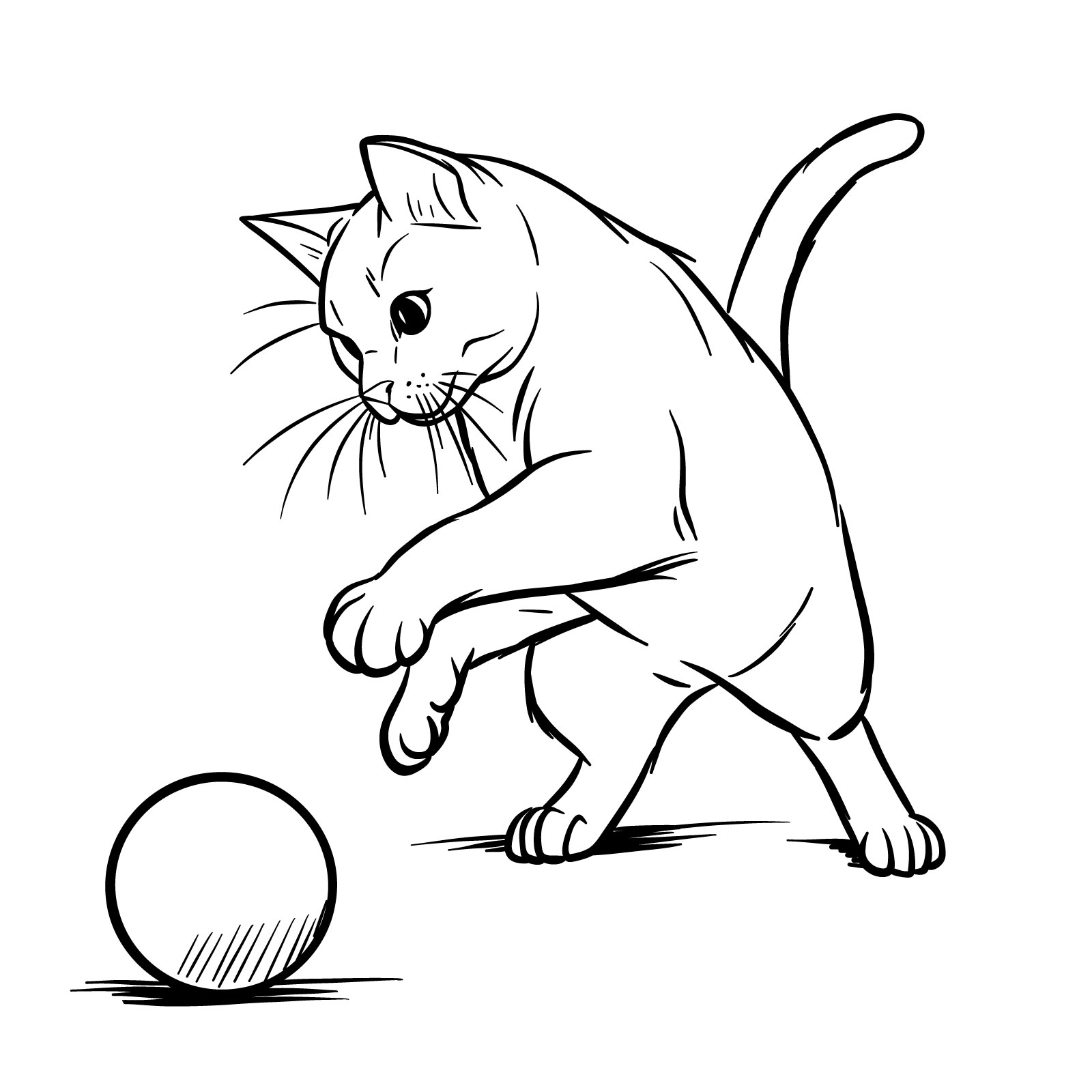 How to Draw a Playing Cat - Easy Step-by-Step Guide