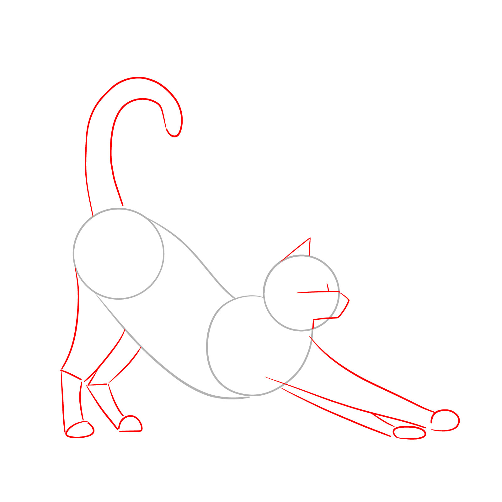 Sketch of a cat in side view with basic shapes for the head, body, legs, paws, and tail - step 02