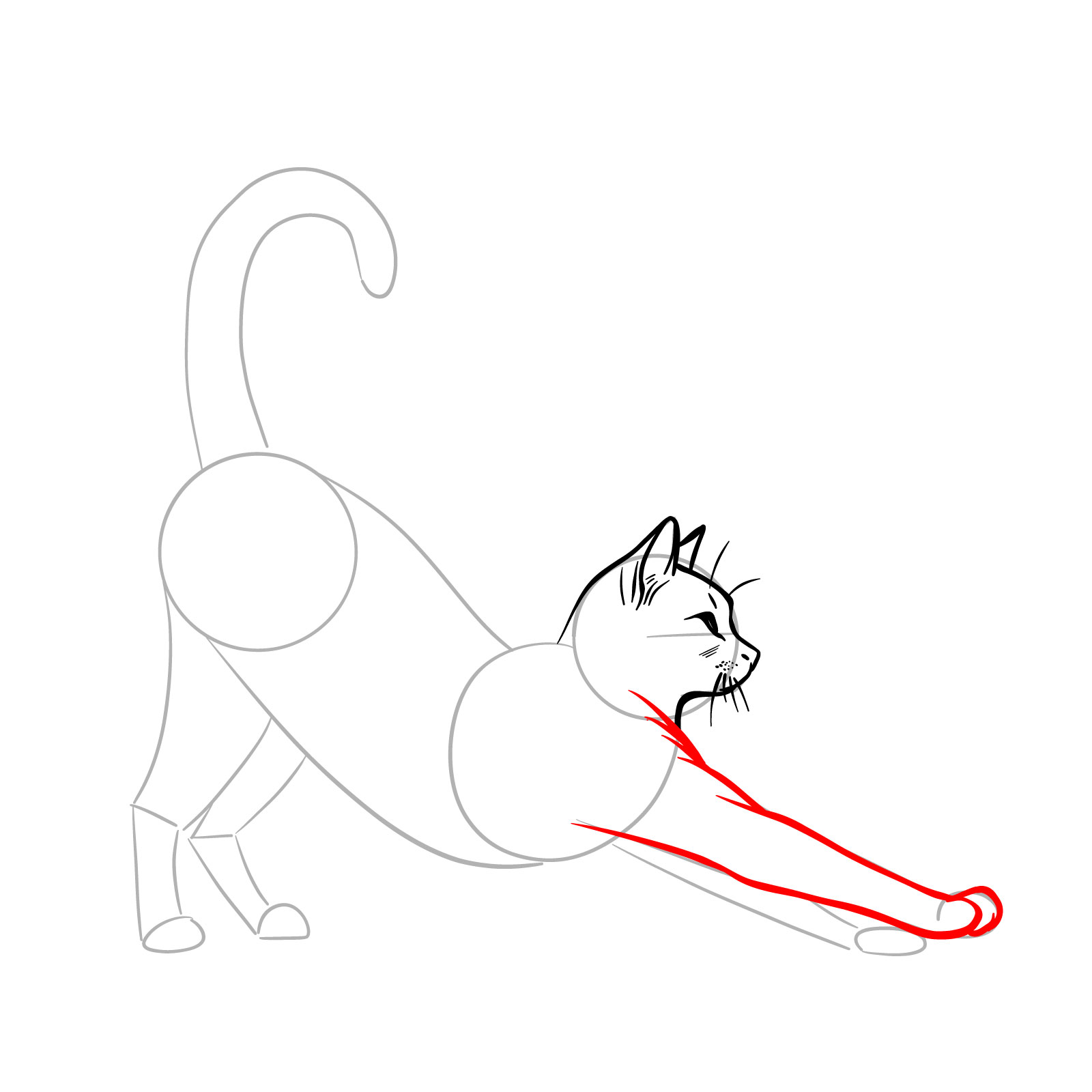 Drawing of a stretching cat's first front leg with a raised paw, using short lines for fur texture - step 07