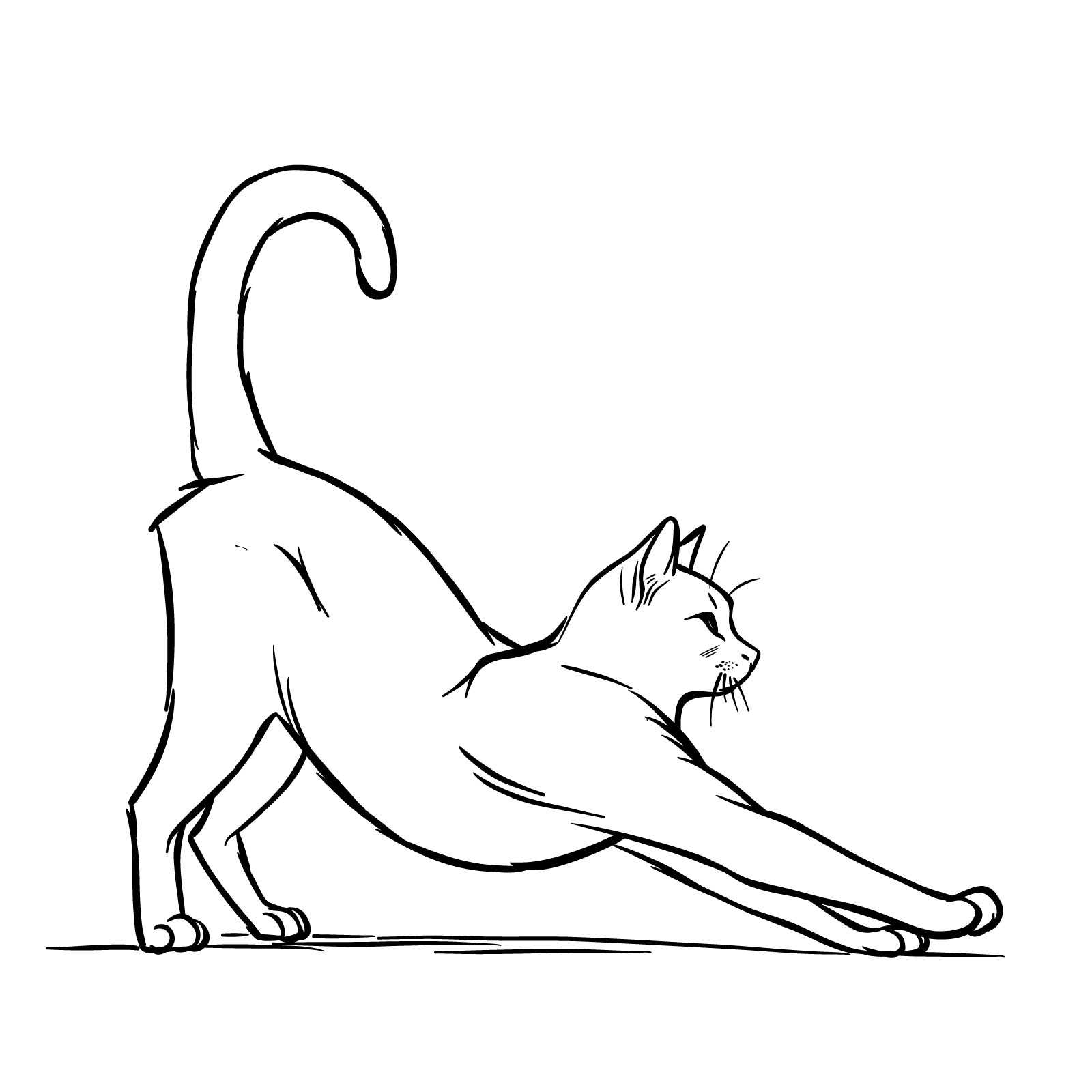 How to Draw a Cat Stretching