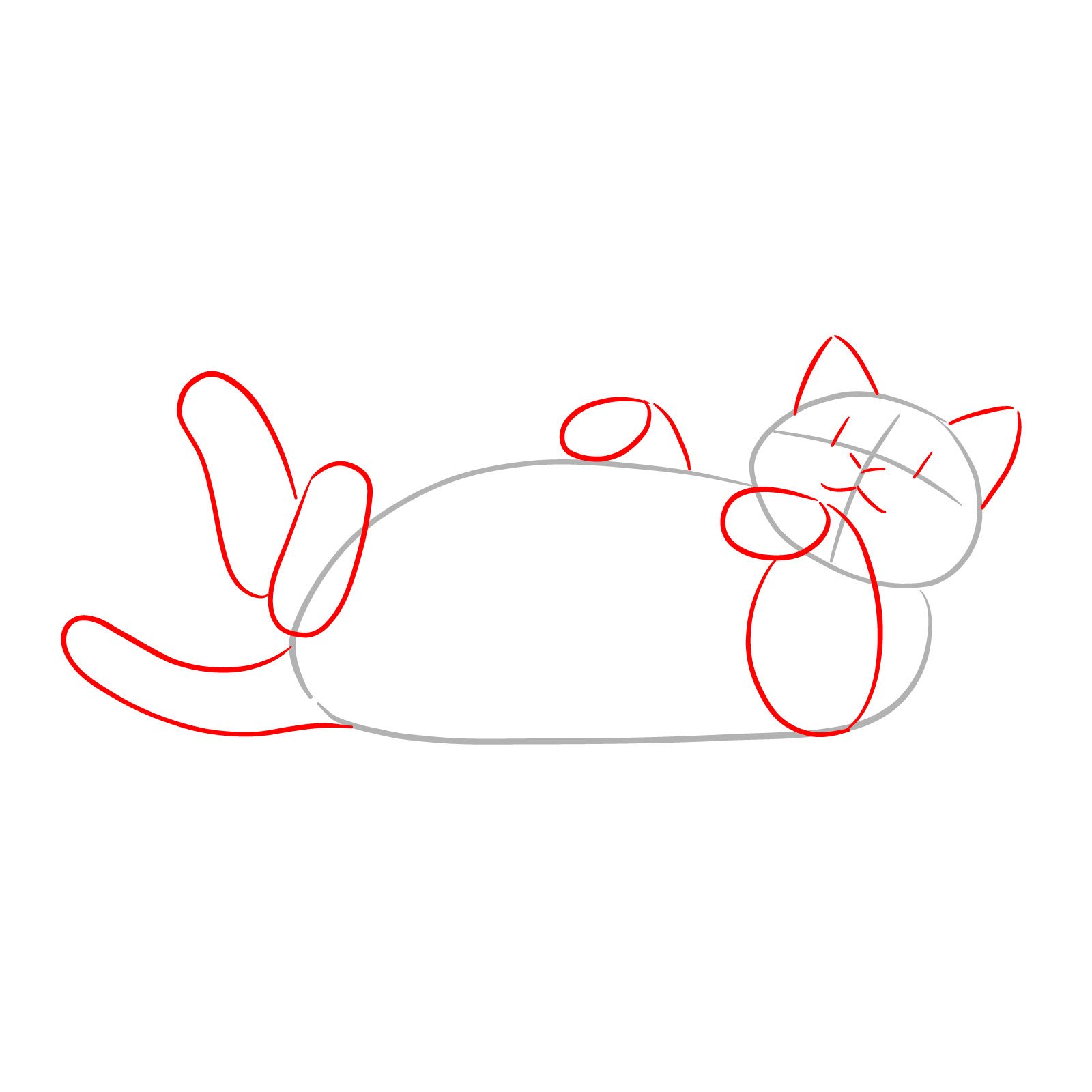 Basic outline of a cat's features including ears, eyes, nose, mouth, limbs, and tail - step 02
