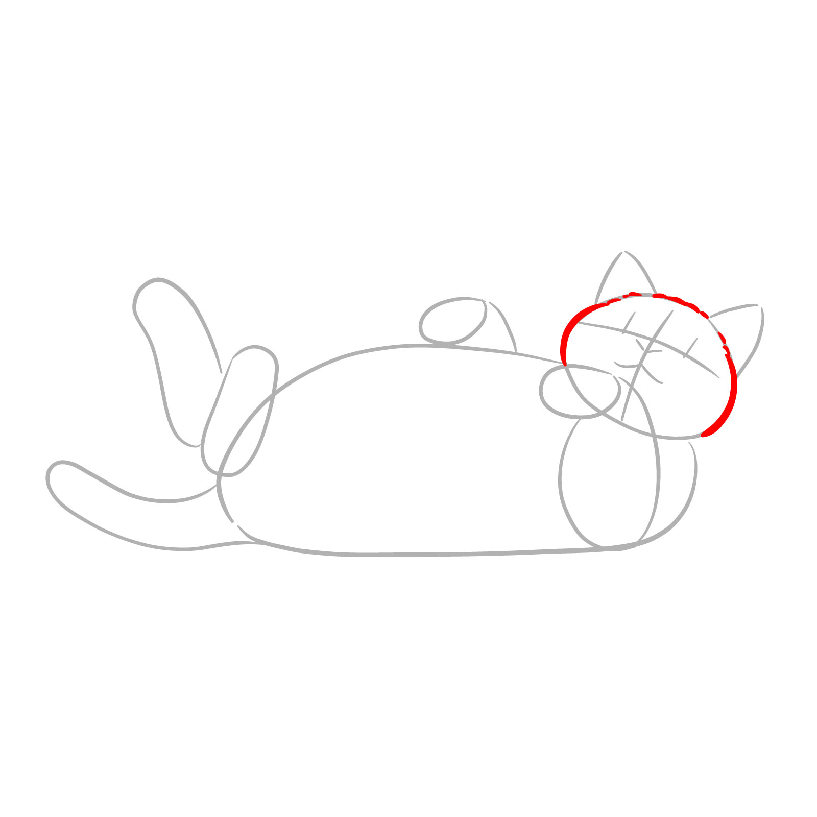 Detailed sketch showing the top and sides of a cat's head while lying on its back - step 03