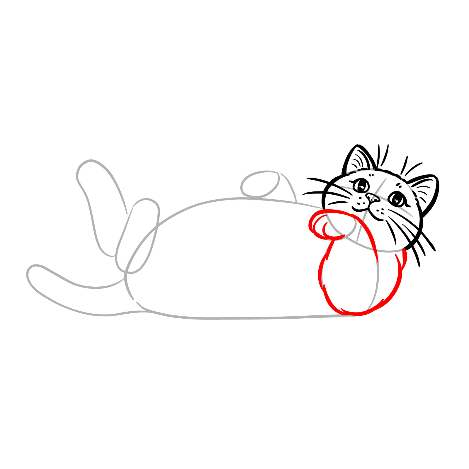 Drawing of the first front leg of a cat lying on its back with fur texture - step 06
