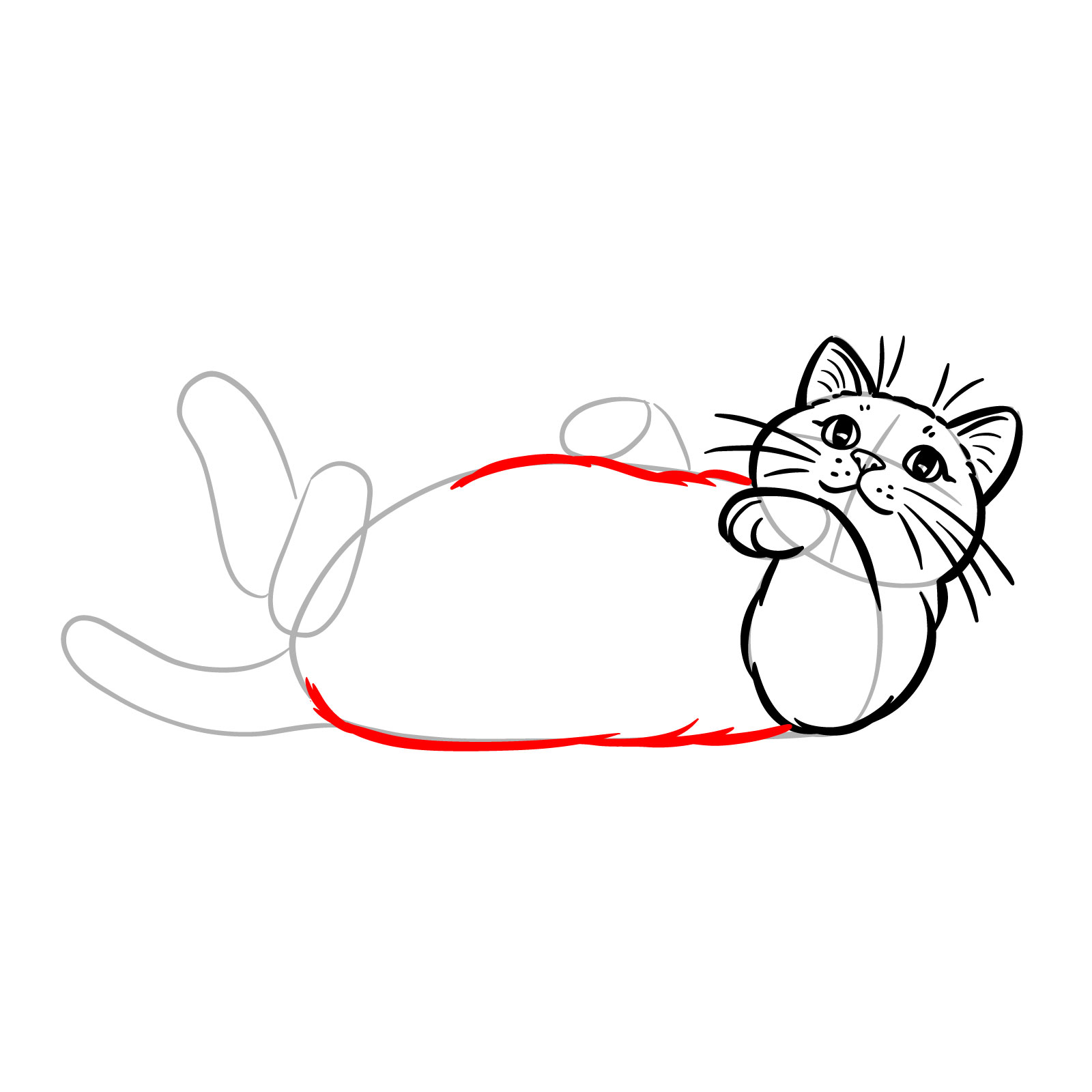 Outline of a cat's back and belly as it lies on its back, showing a playful pose. FIGCAPTION: Defining the back and belly - step 07