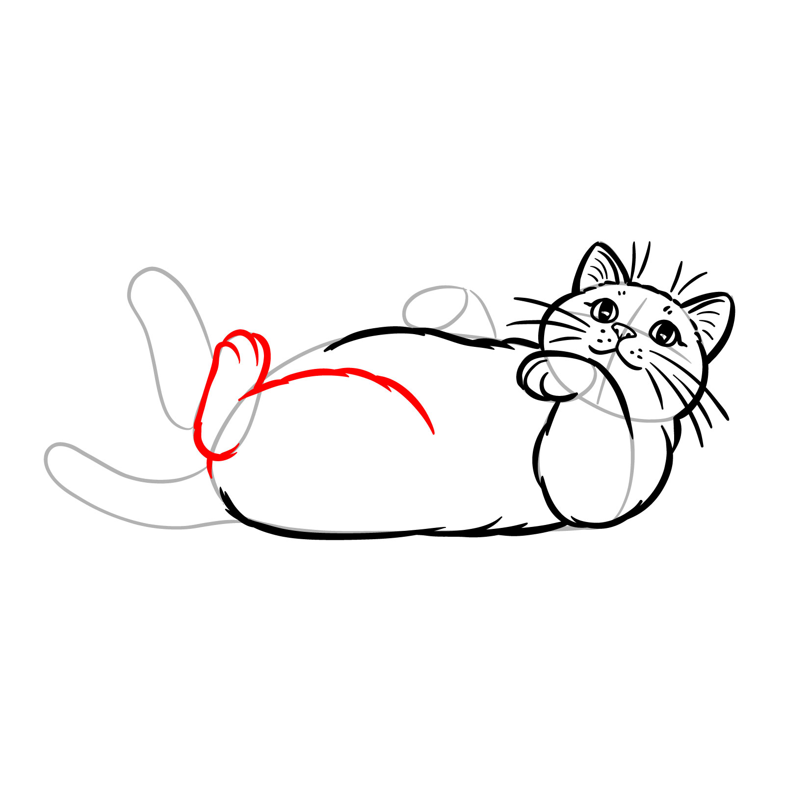 Sketch highlighting the first rear leg of a cat lying on its back with fur details - step 08