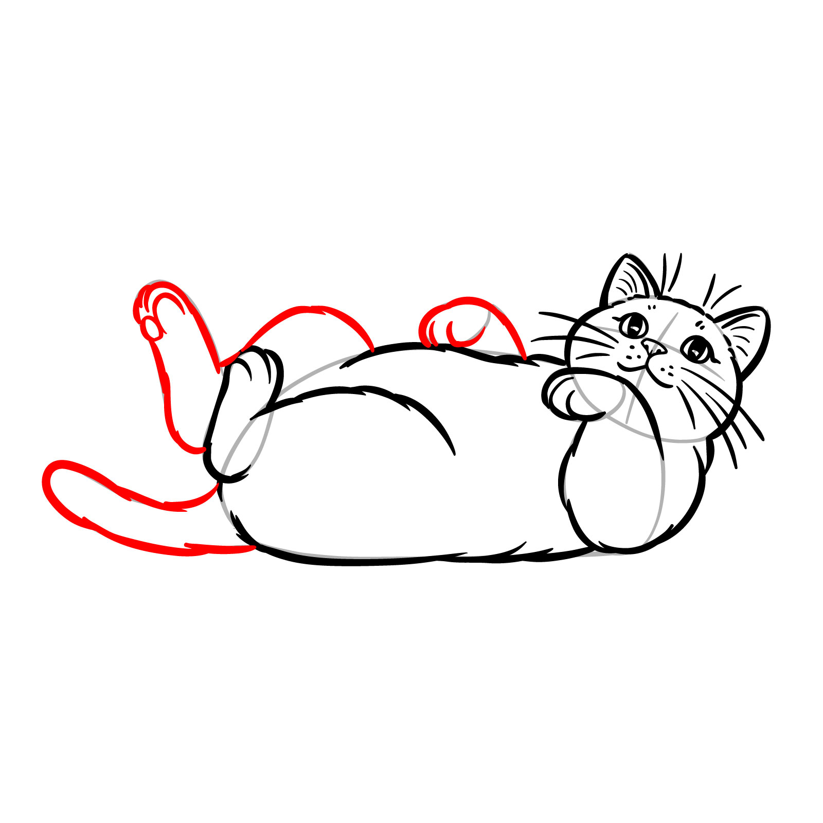 Detailed sketch of a cat lying on its back with all paws and tail added - step 09