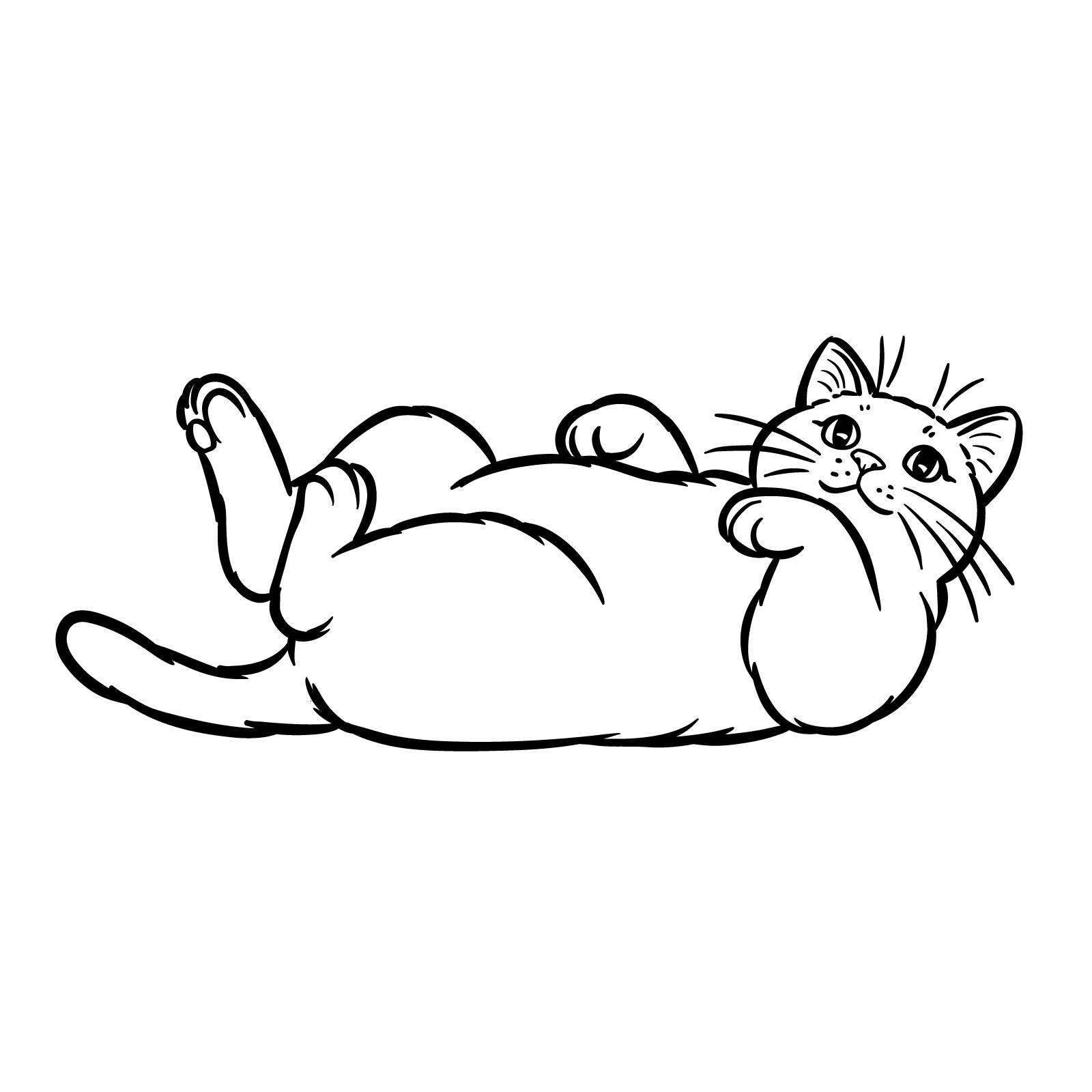 Complete drawing of a cat lying on its back without the initial guidelines, showing a relaxed and playful posture - step 10