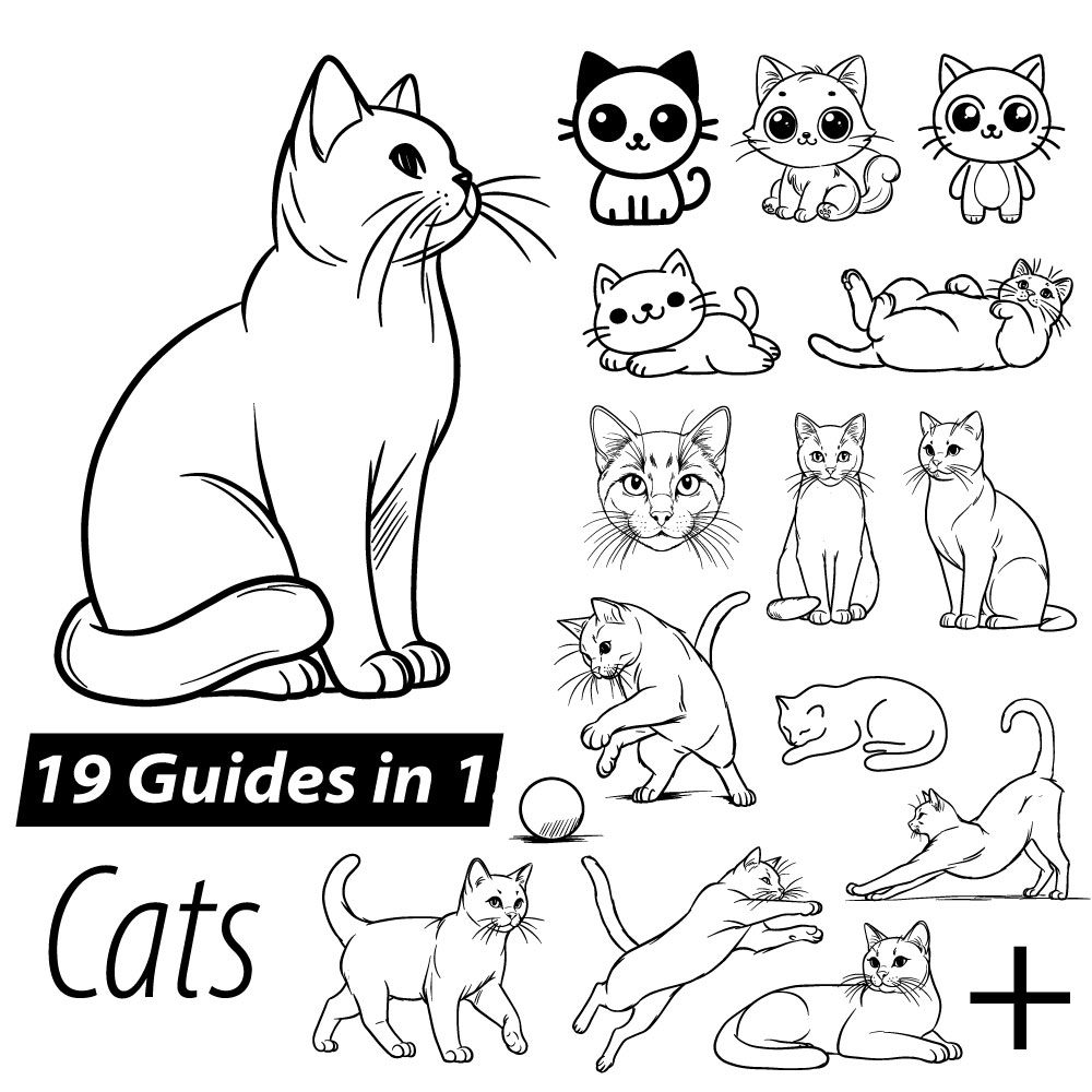 How to Draw Cats – 19 Easy Guides in One Tutorial