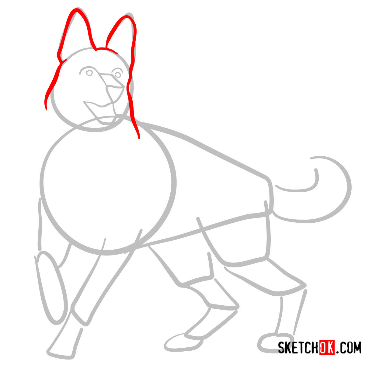 How to draw the German Shepherd dog - step 03