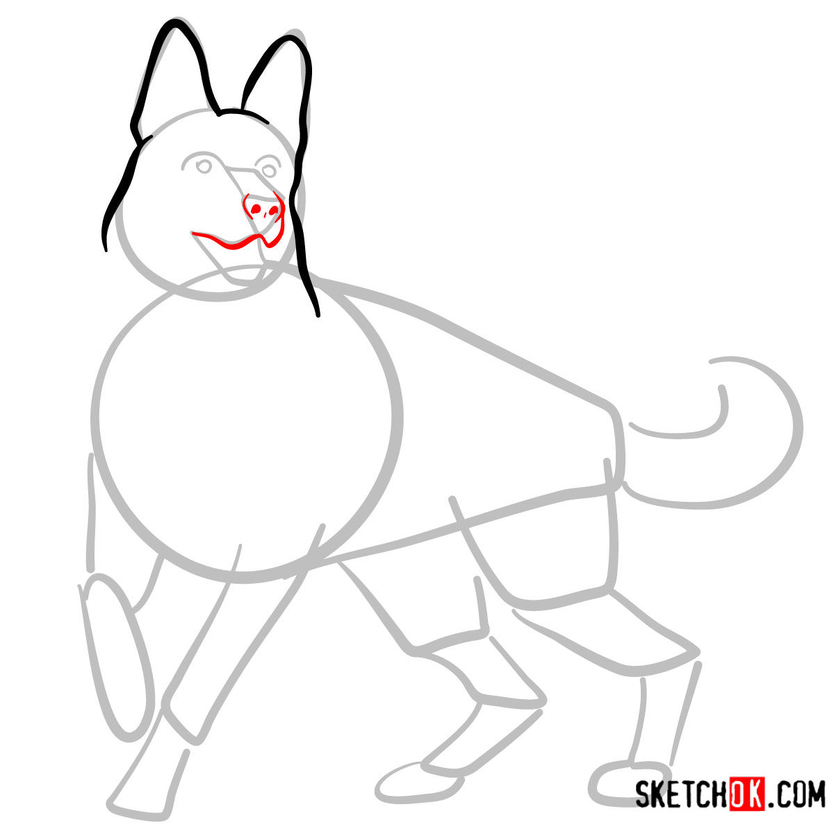 How to draw the German Shepherd dog - step 04
