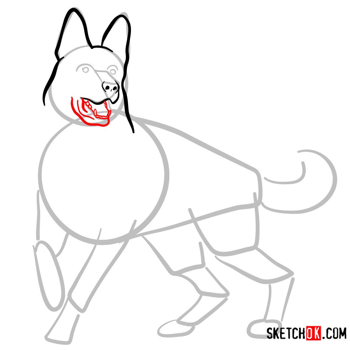 How to draw the German Shepherd dog - step 05
