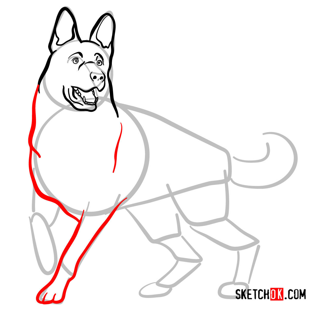 How to draw the German Shepherd dog - Sketchok easy drawing guides