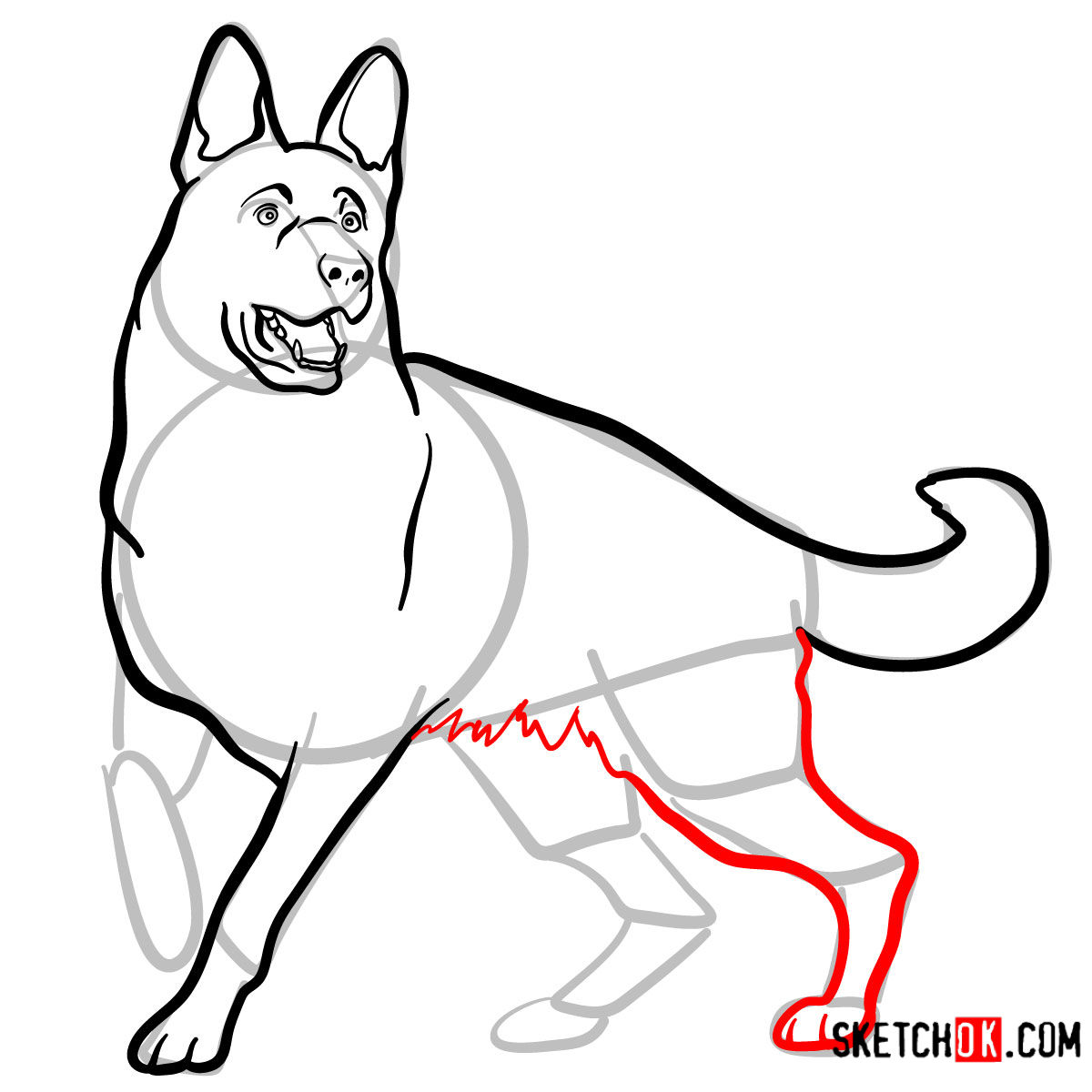 How To Draw A German Shepherd Step By Step Easy