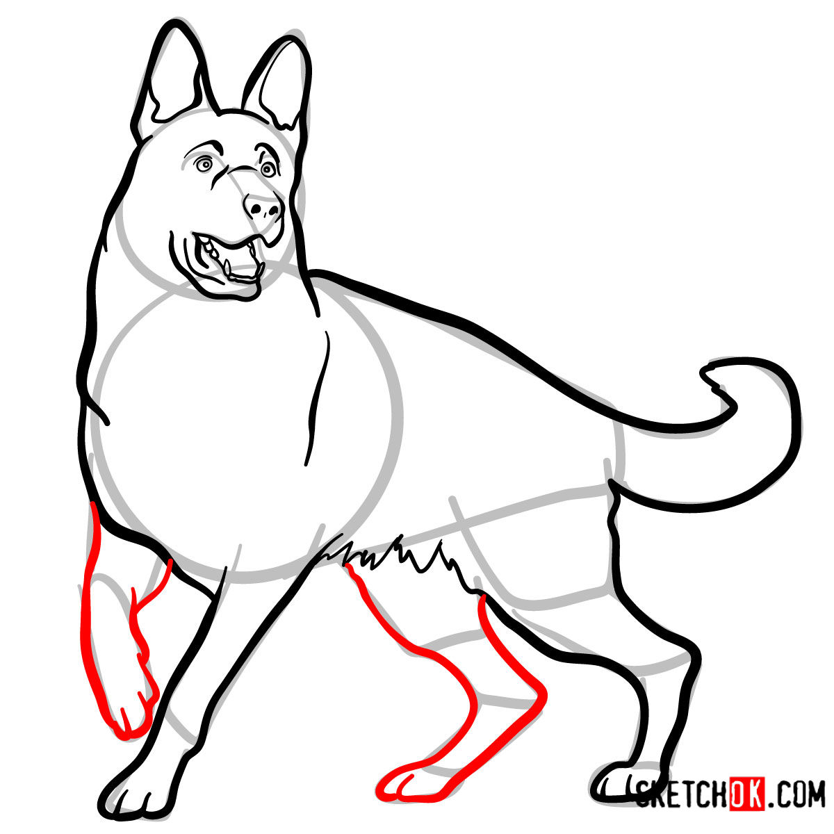 How to draw the German Shepherd dog - step 10