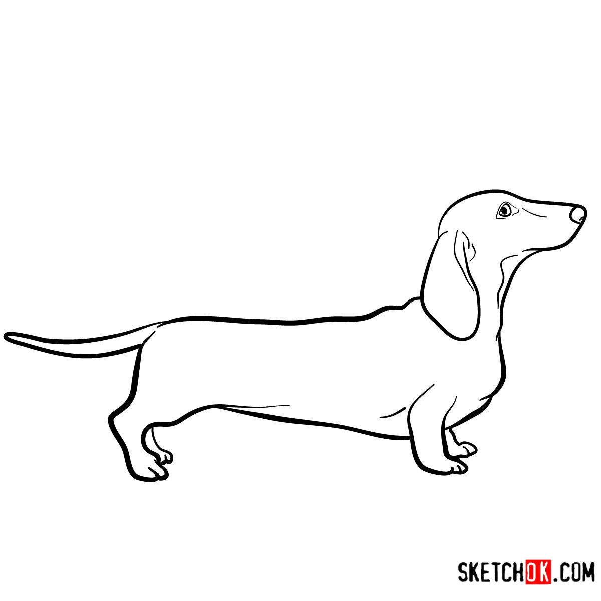 sausage dog drawing