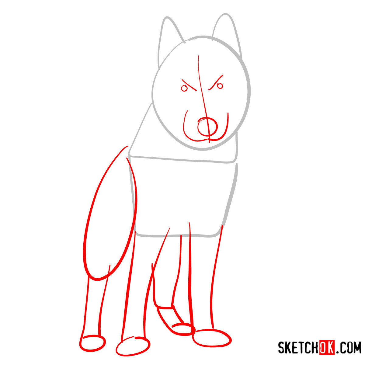 How to draw the Husky dog - step 02