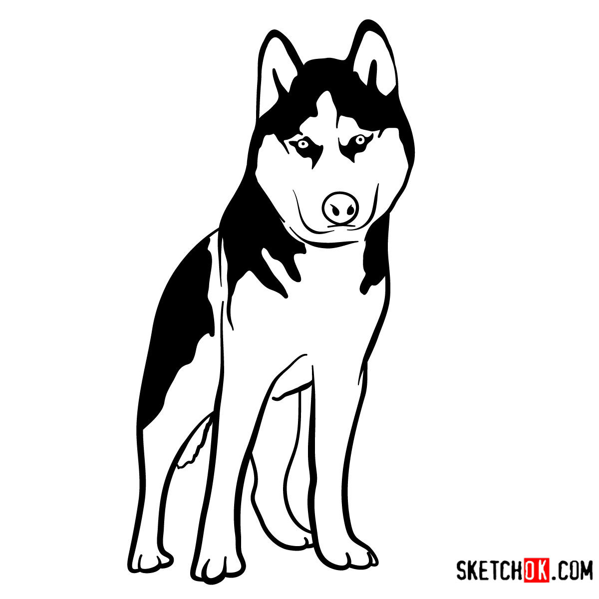 How To Draw The Husky Dog Sketchok Easy Drawing Guides