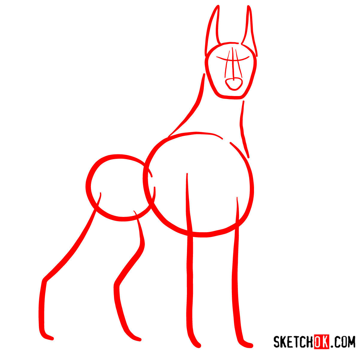 How to draw the Dobermann dog - step 01