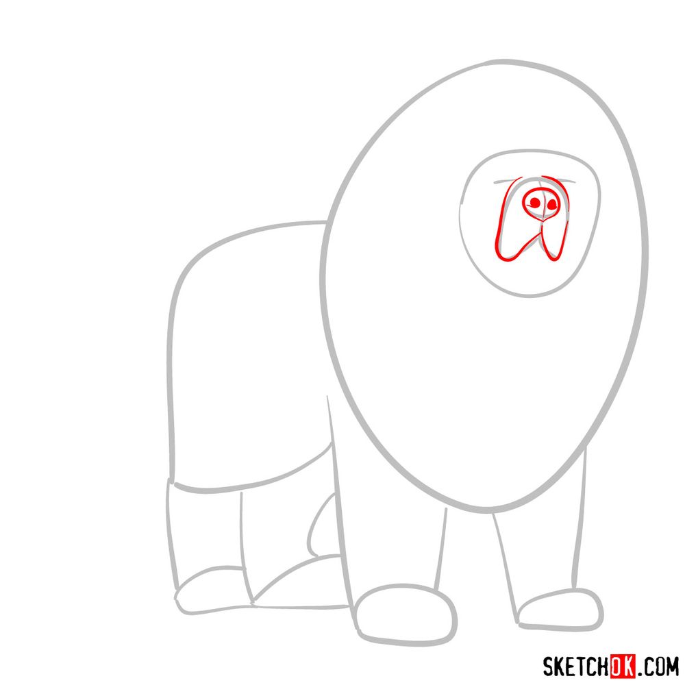 How to draw a Tibetan mastiff - step 03