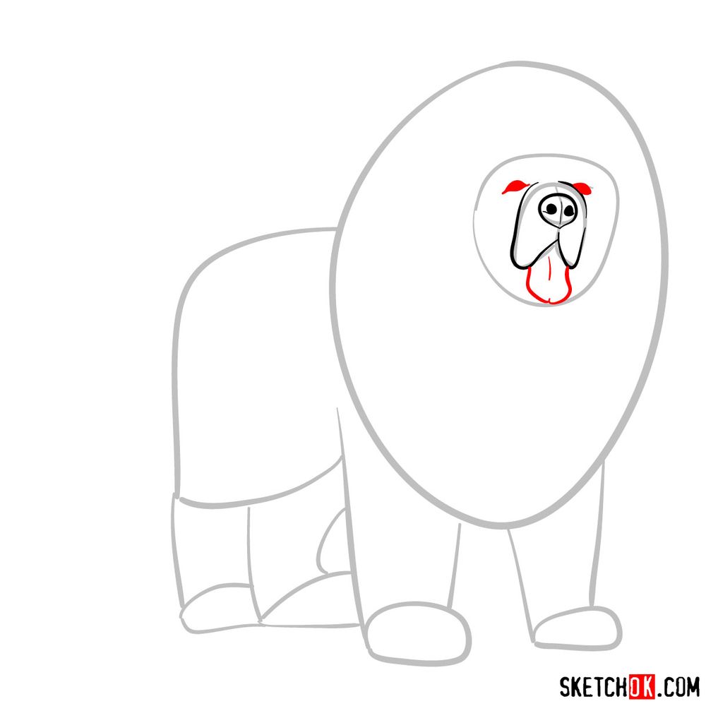 How to draw a Tibetan mastiff - step 04