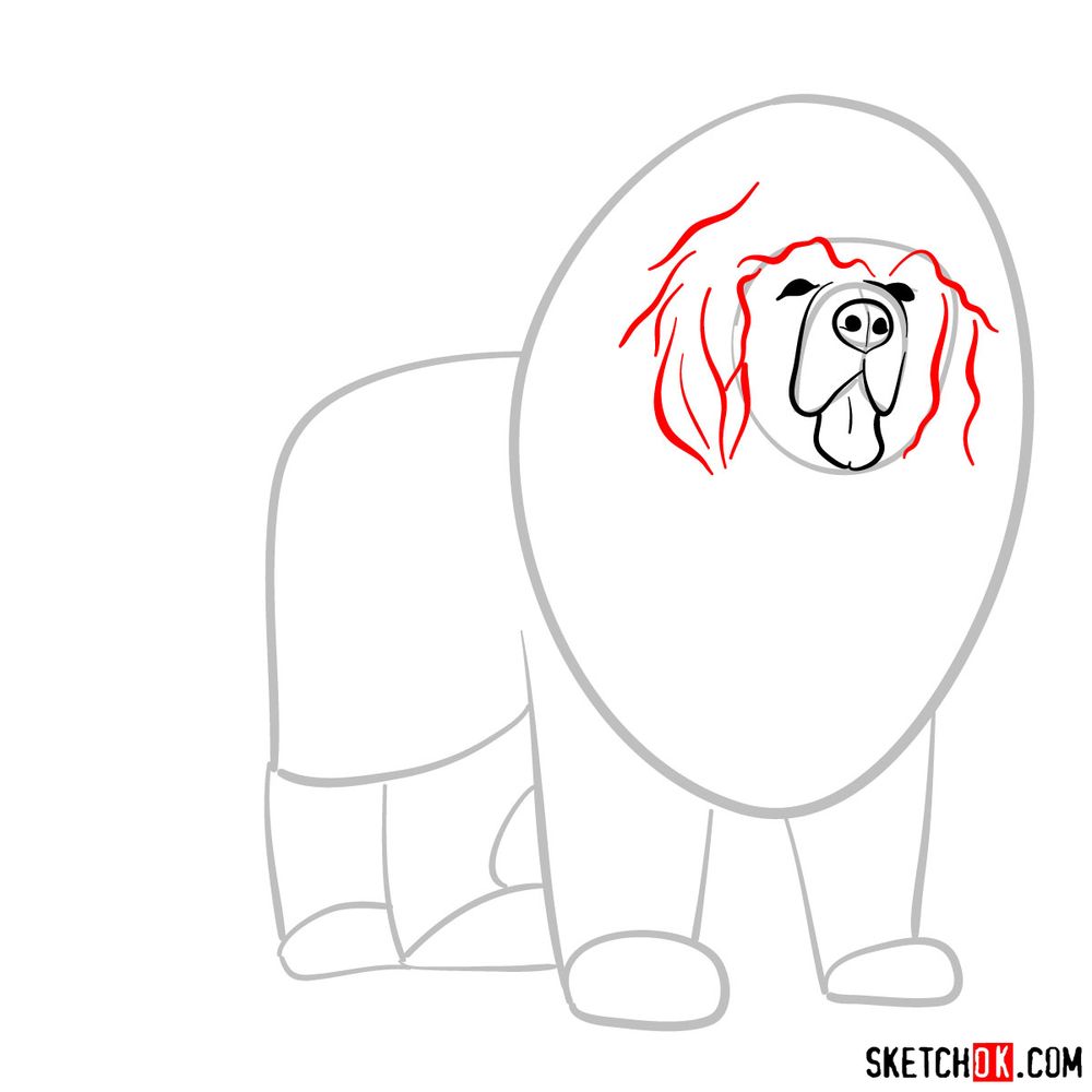 How to draw a Tibetan mastiff - step 05