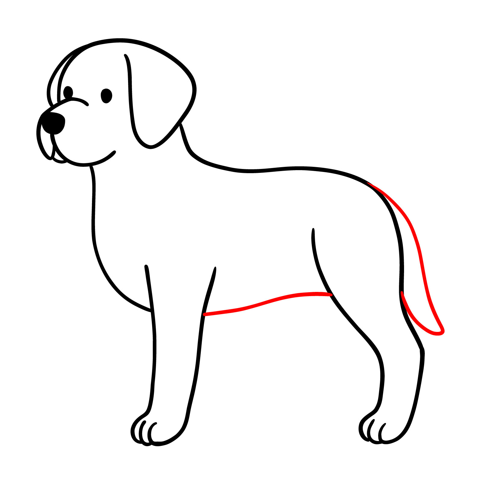 Minimalist Dog Drawing step 7 - connecting the legs with a curved line and adding a hanging tail