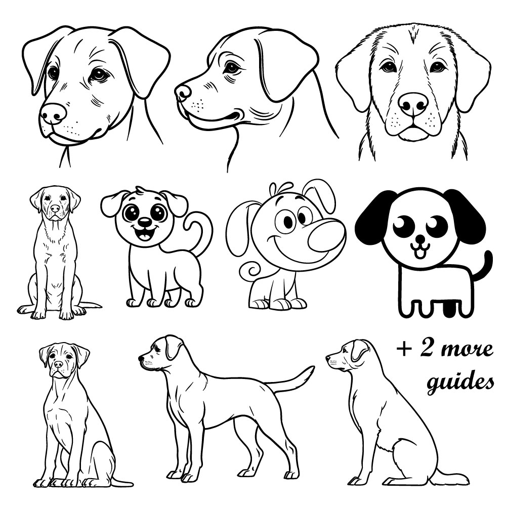 How to Draw Dogs: 12 Easy Guides for Every Pose and Style