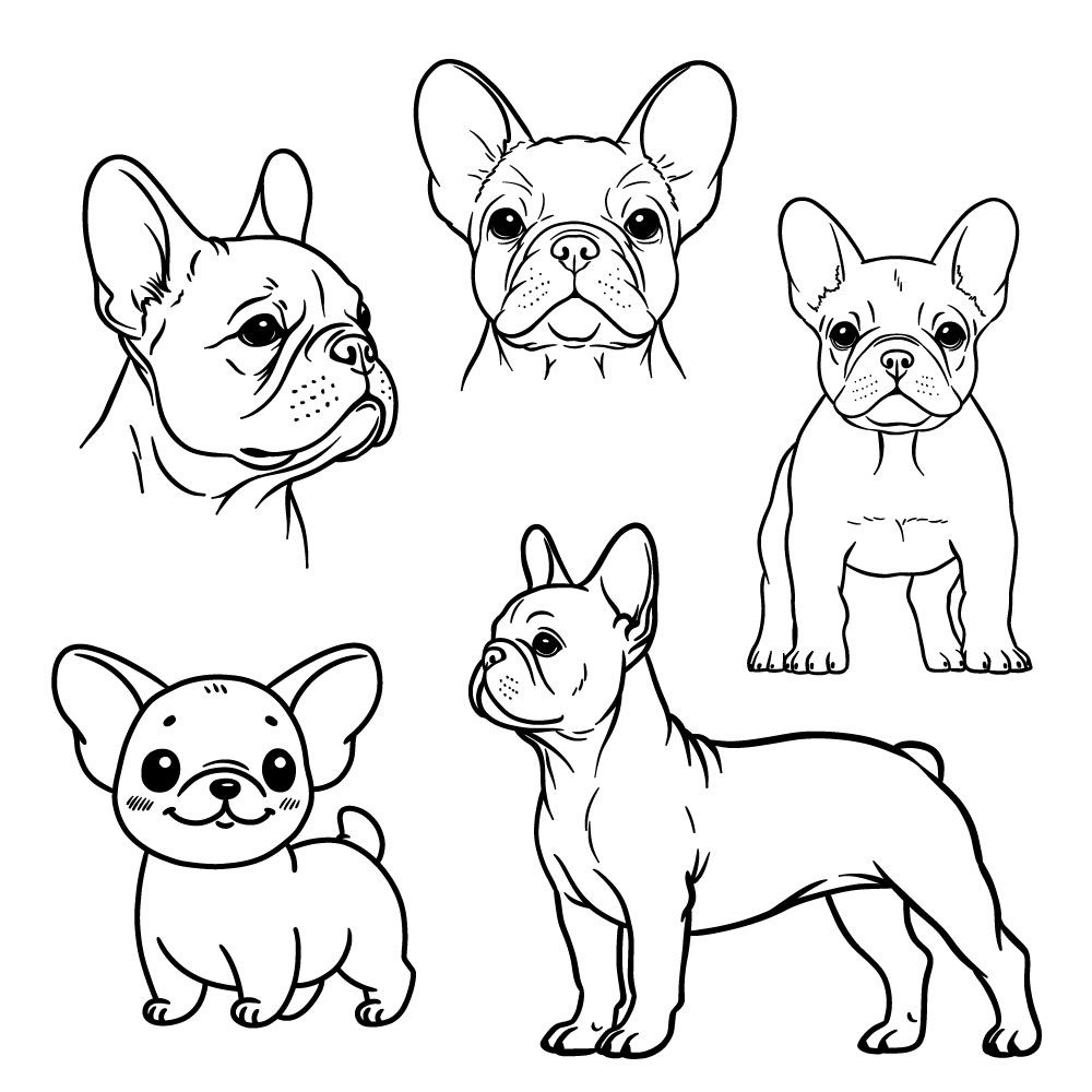 How to Draw a French Bulldog: 5 Easy Guides in One Place