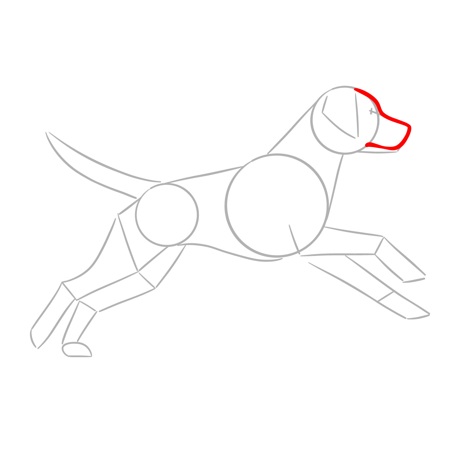 Step 4: Now let's draw the dog's neck, the lower part of the muzzle, and the ear.