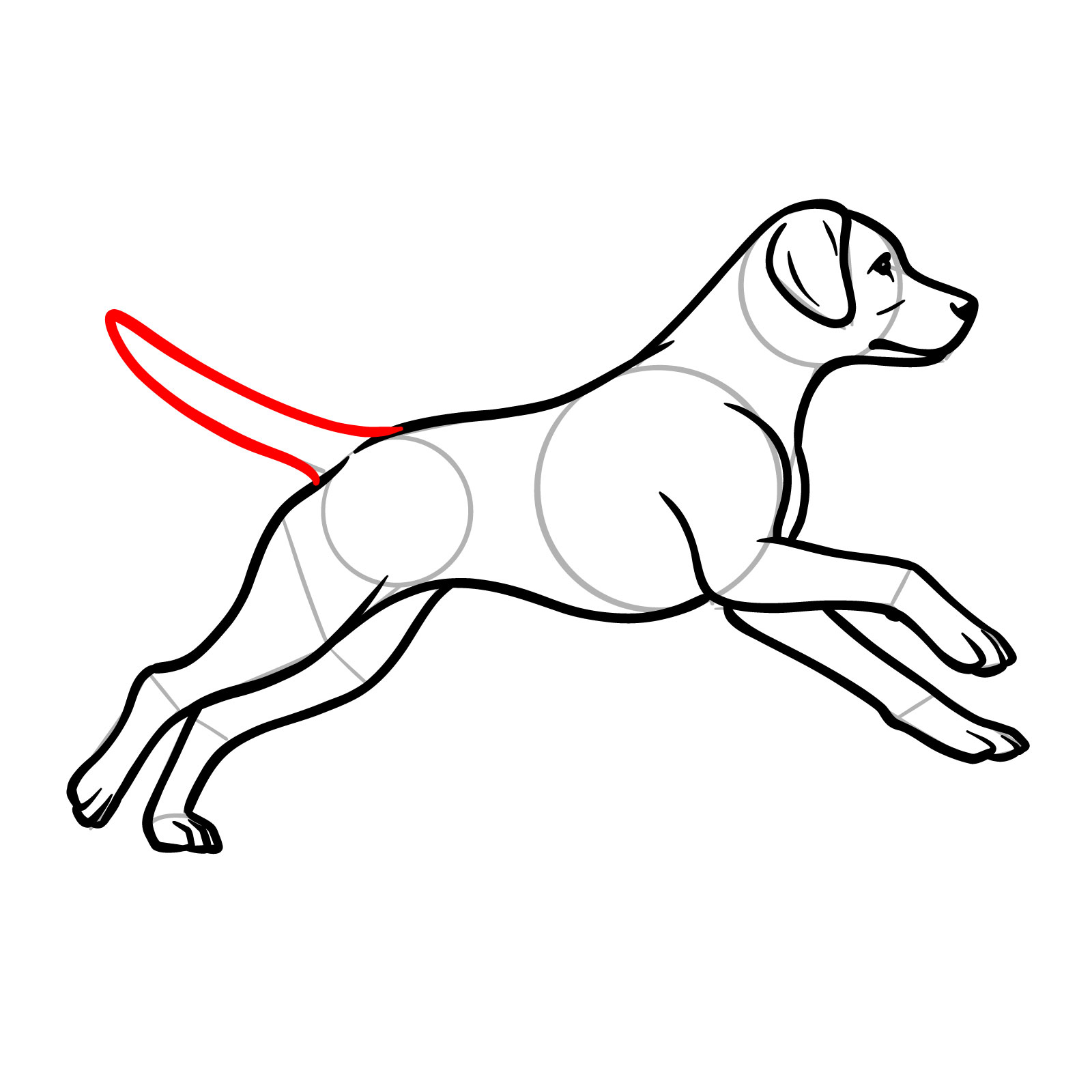 How to draw a running dog, step 13, outlining the tail