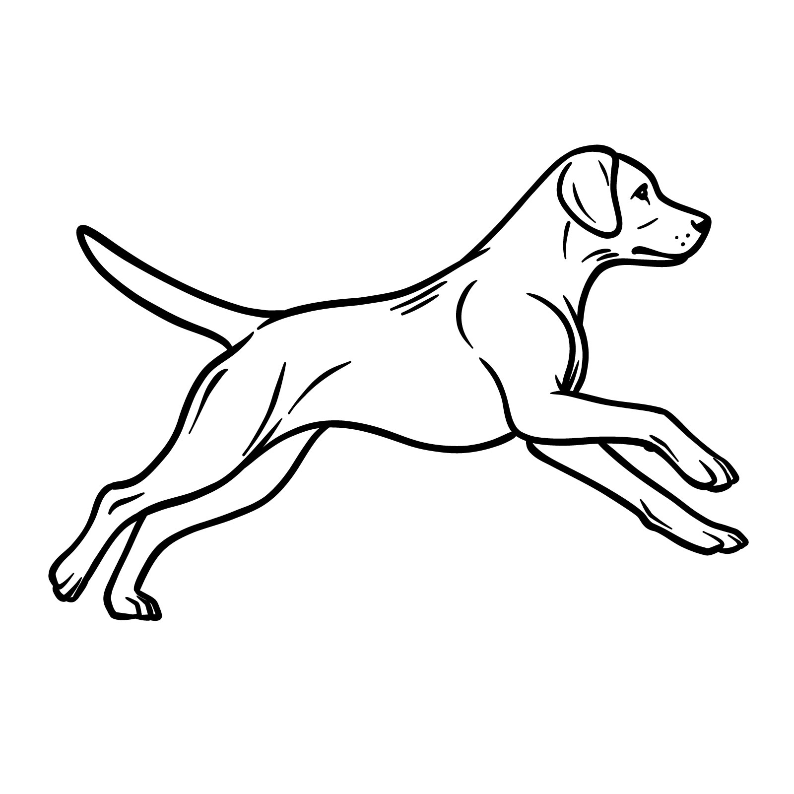 How to draw a running dog, step 15, completing and cleaning up the drawing