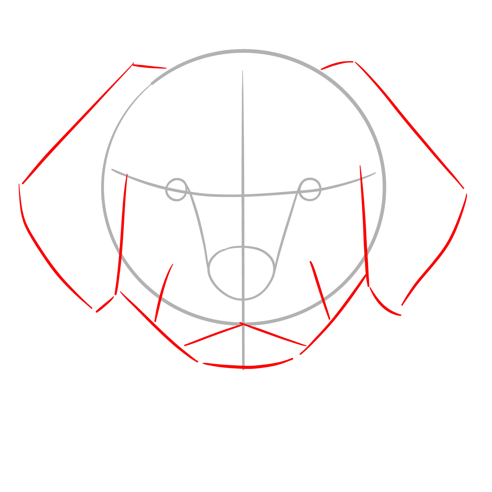 How to Draw a Puppy’s Face Front View - step 03