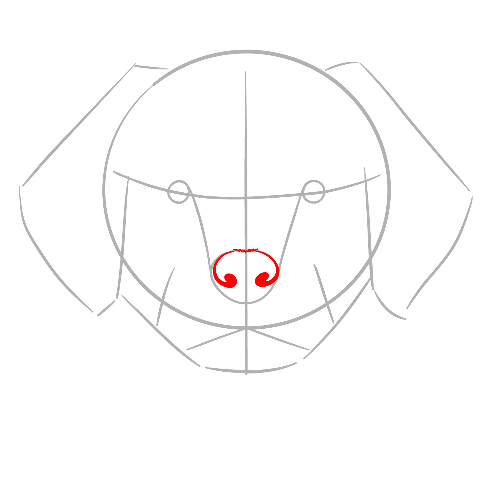How to Draw a Puppy’s Face Front View - step 04