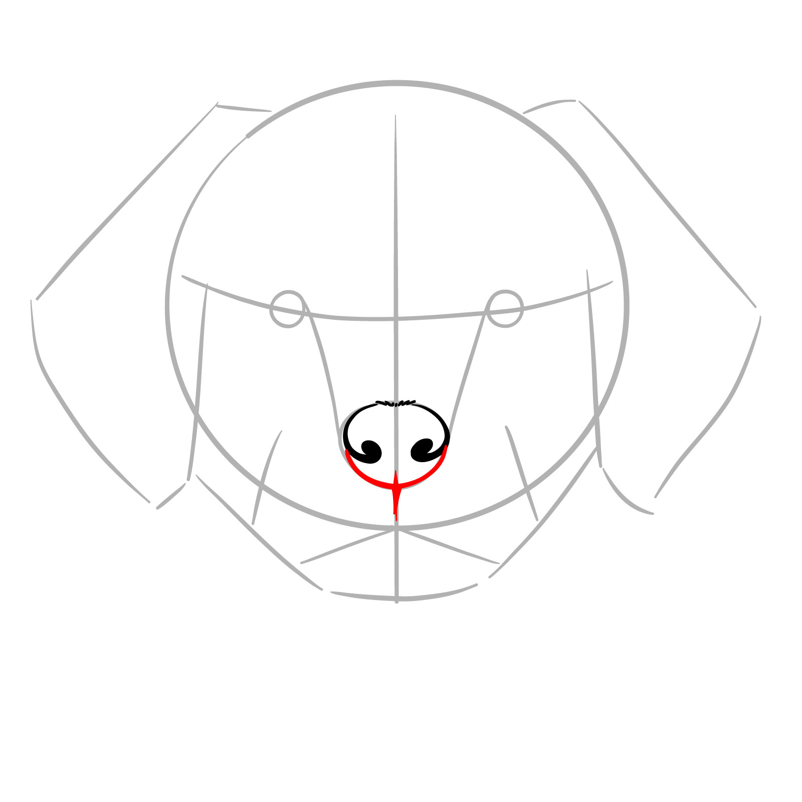 How to Draw a Puppy’s Face Front View - step 05