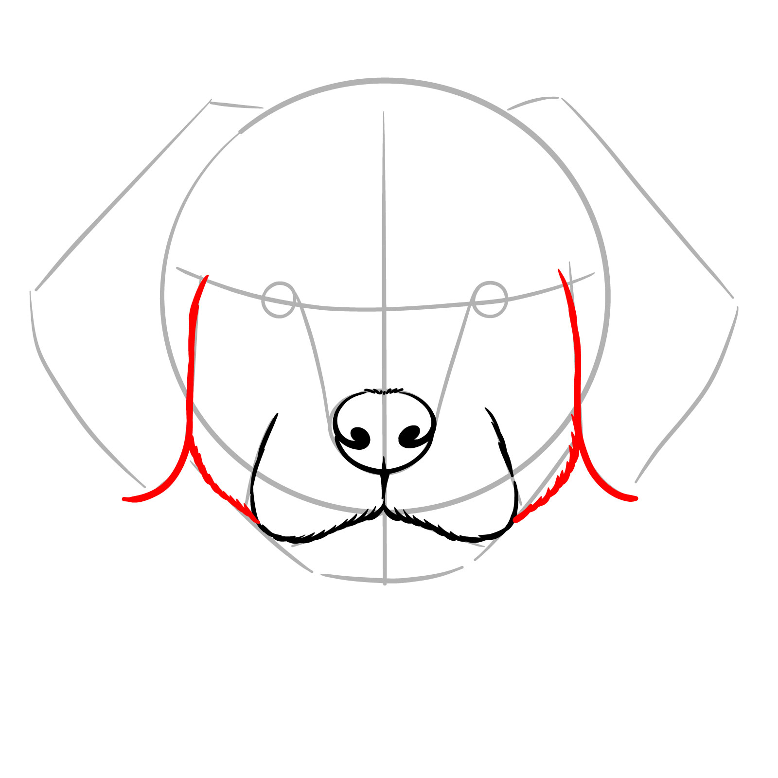 How to Draw a Puppy’s Face Front View - step 07