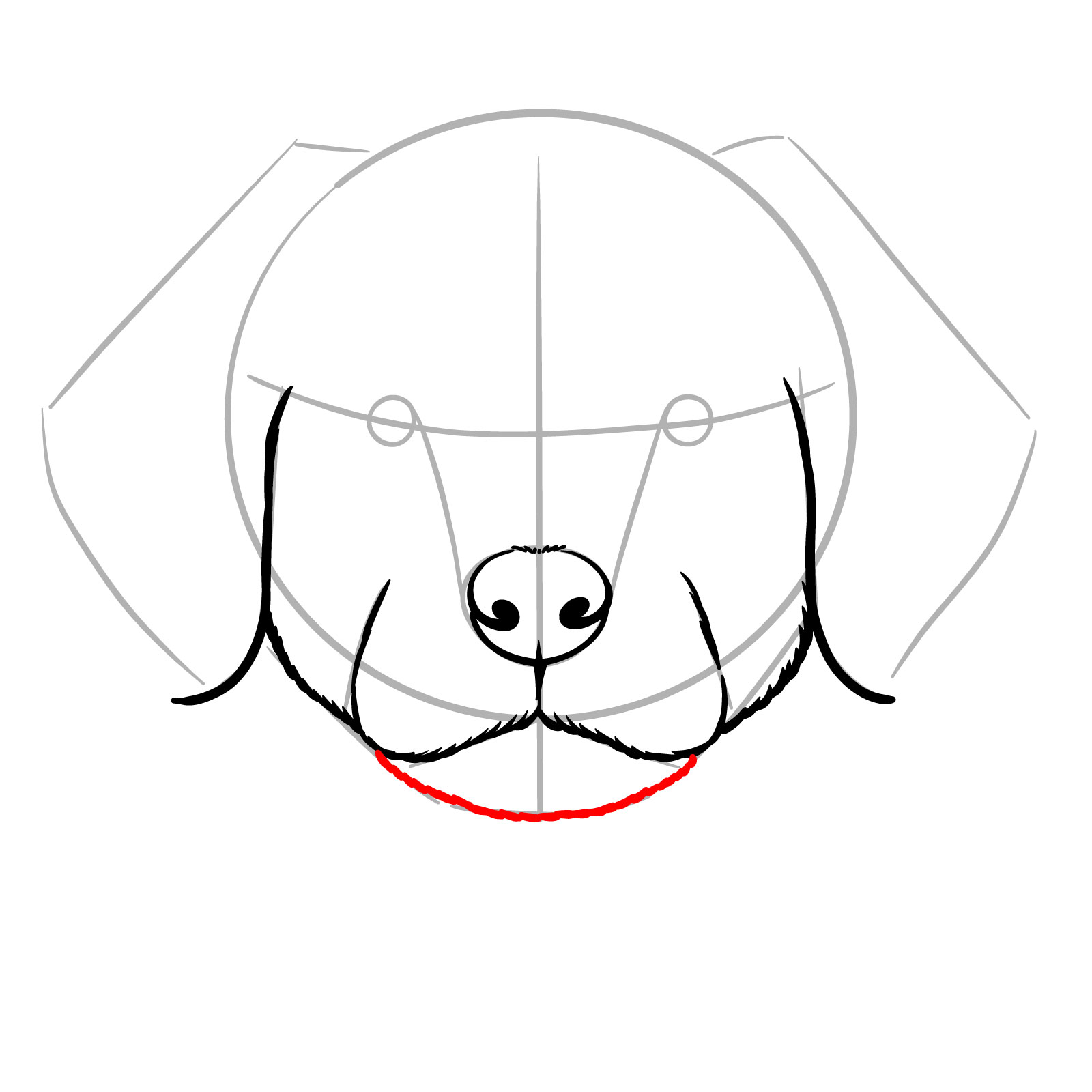 How to Draw a Puppy’s Face Front View - step 08
