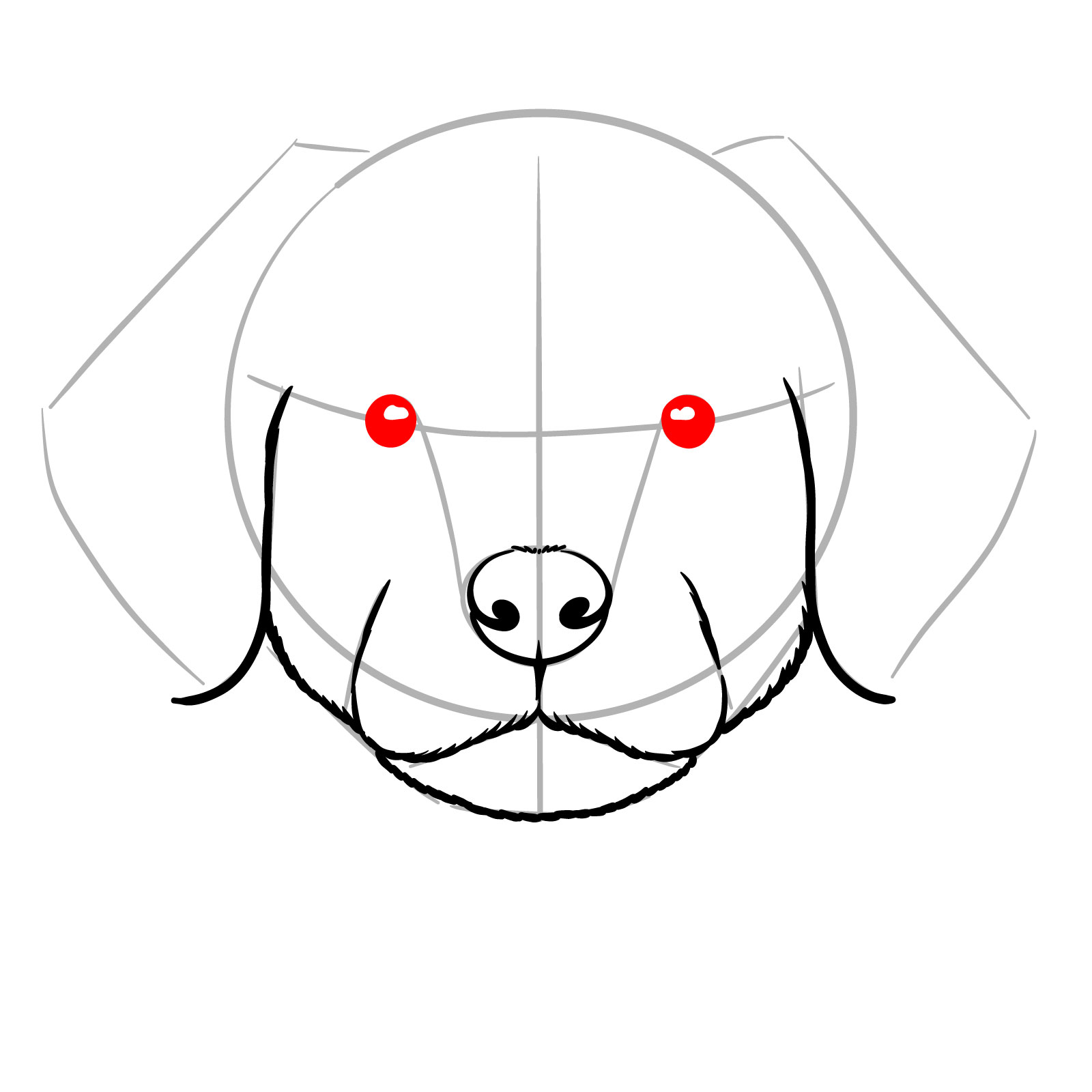 How to Draw a Puppy’s Face Front View - step 09