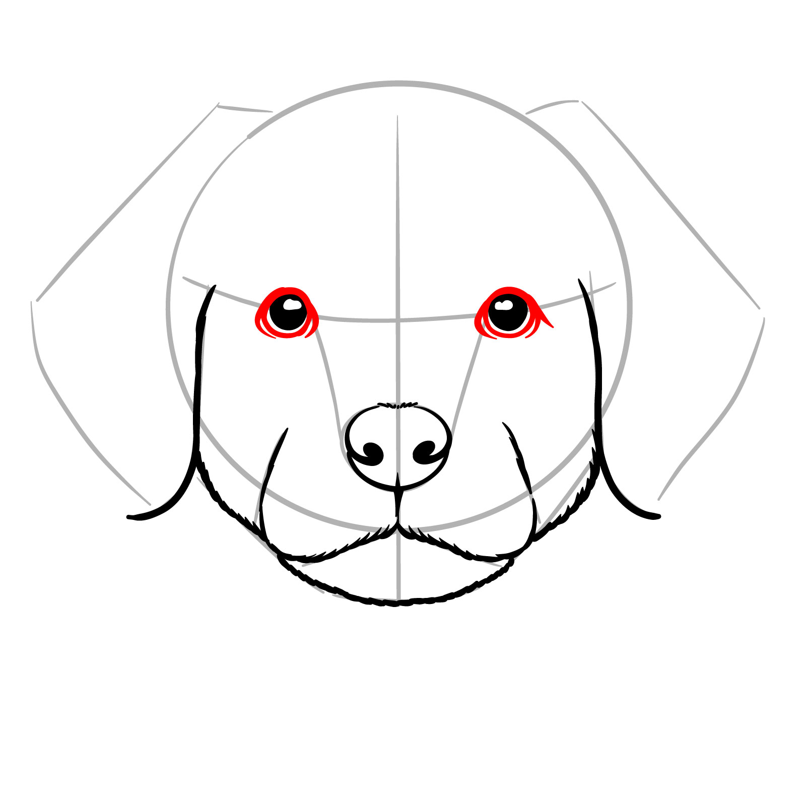 How to Draw a Puppy’s Face Front View - step 10