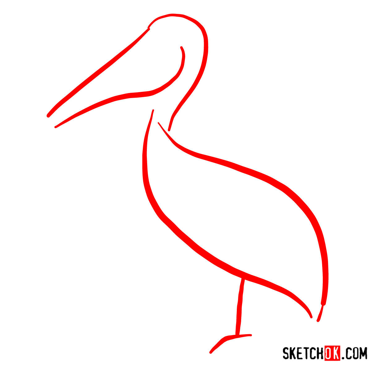 How to draw a Pelican | Birds - step 01