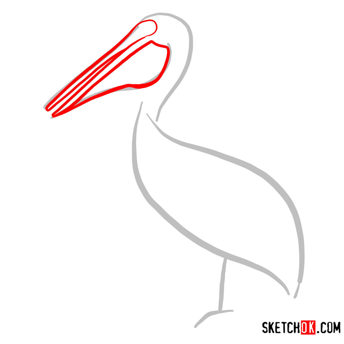 How to draw a Pelican | Birds - step 02