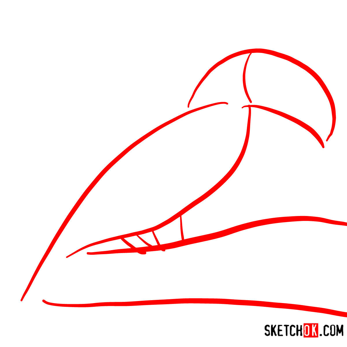 How to draw a Toucan | Birds - step 01