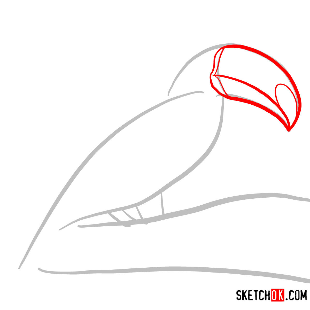 How to draw a Toucan | Birds - step 02