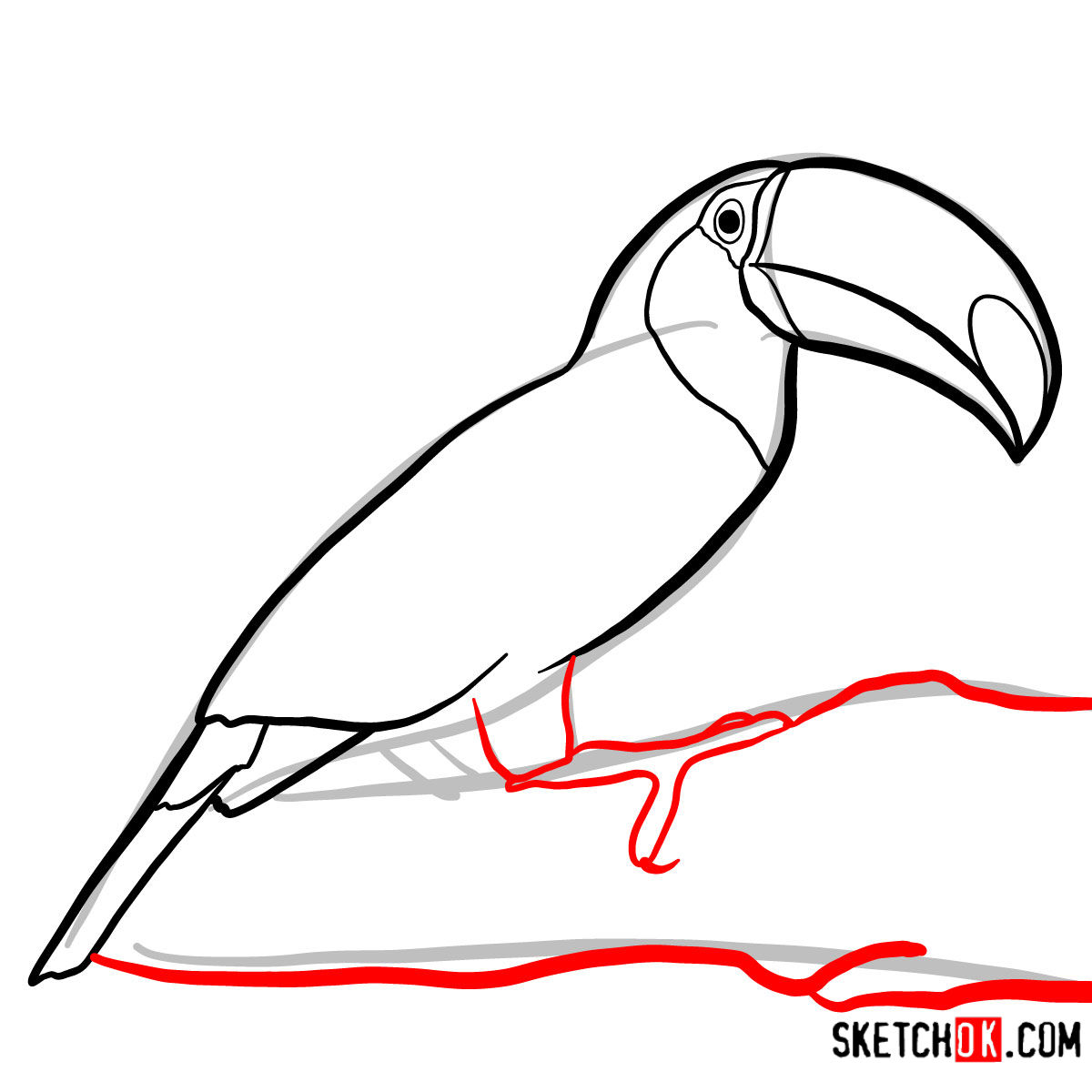 How to draw a Toucan | Birds - step 06