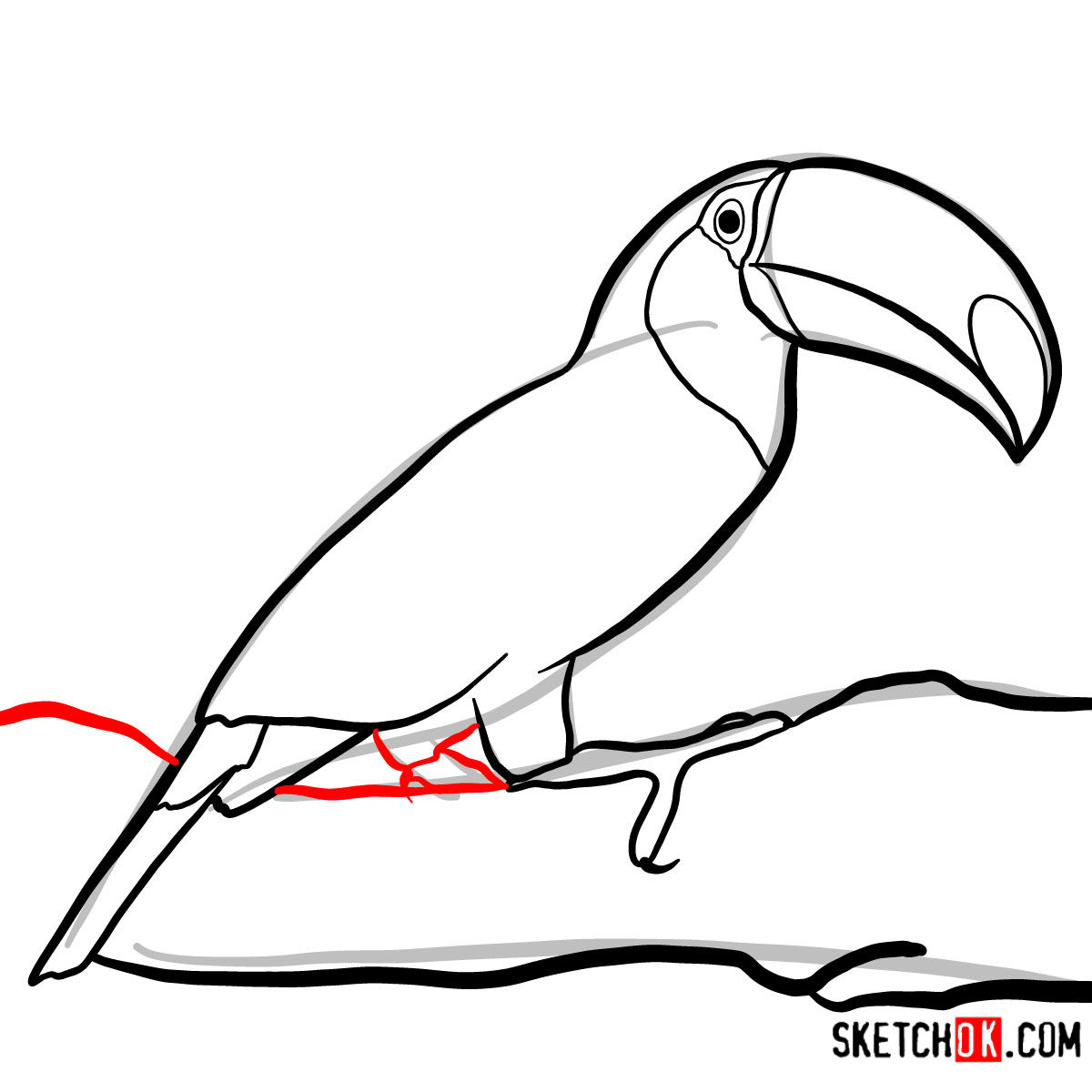 How to draw a Toucan Birds Sketchok easy drawing guides